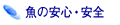 ̈SES