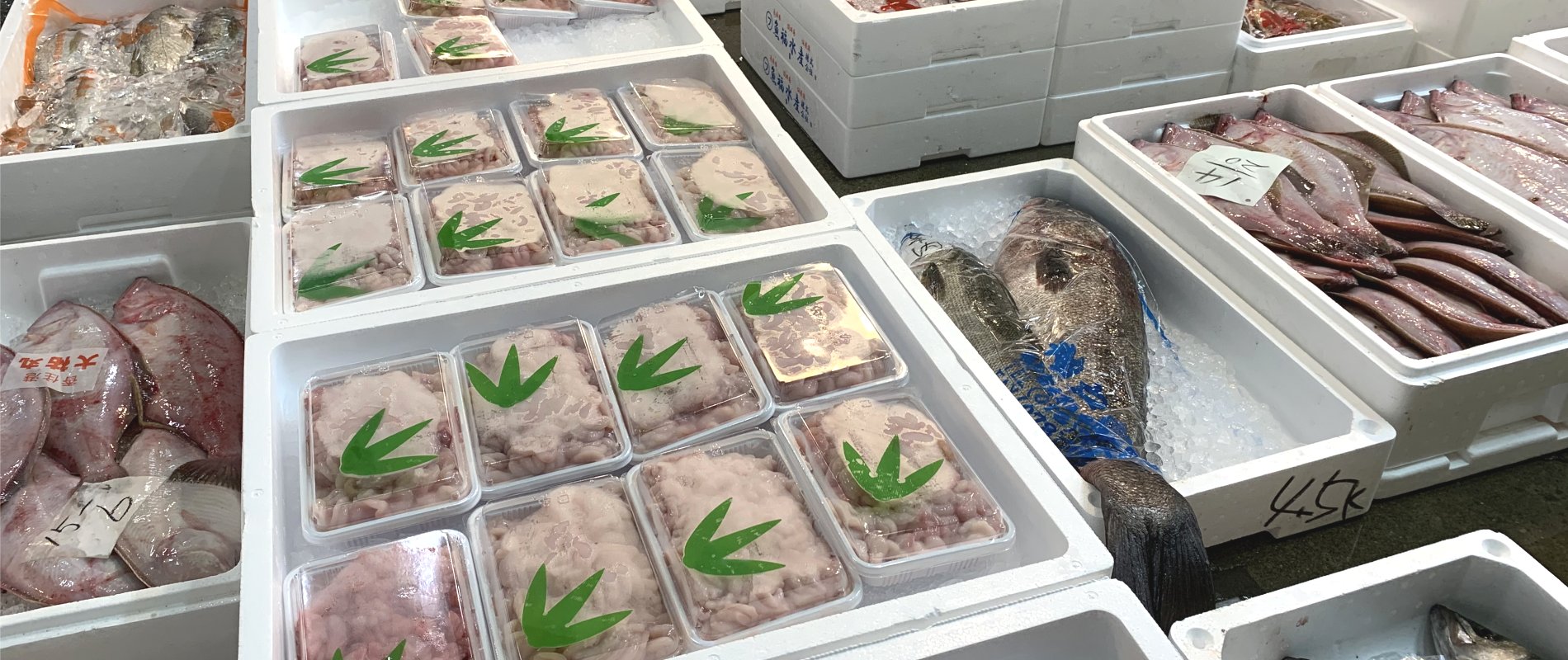 鮮魚加工販売部